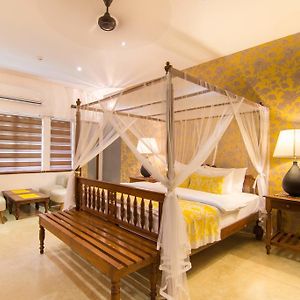 Suite Garden View